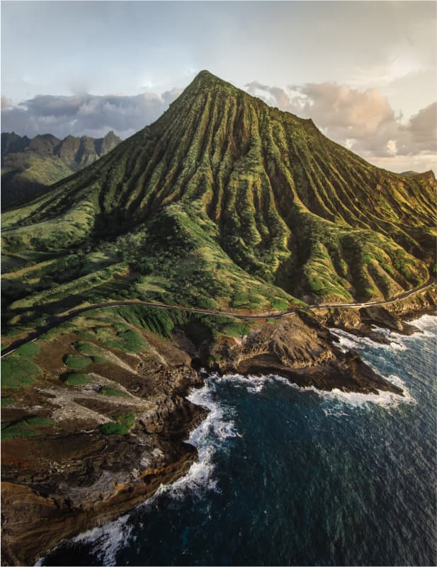 Volcanic coastline from above