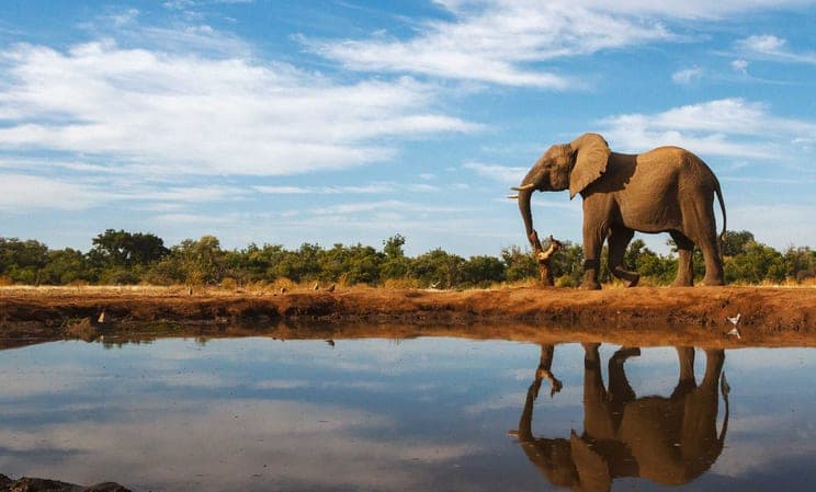 Botswana honeymoon