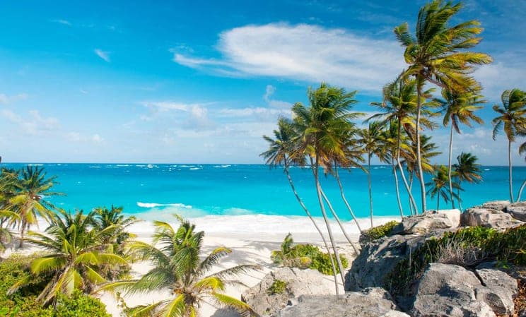 The Caribbean honeymoon