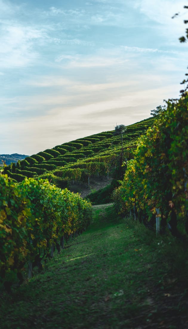 Emilia Romagna & The Langhe: A Luxury Hiking Adventure from the Best Restaurant in Italy