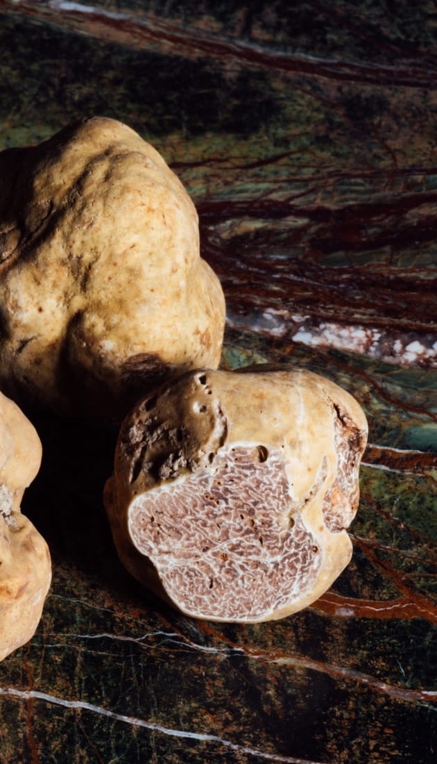 Piedmont: Discover Truffles on a Luxury Holiday in the Italian Countryside