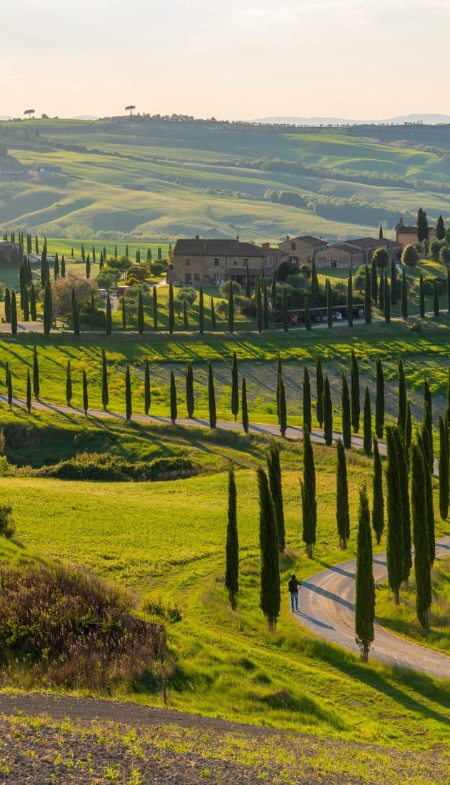 Pecorino Cheese Farm Visit in Pienza
