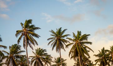 Caribbean