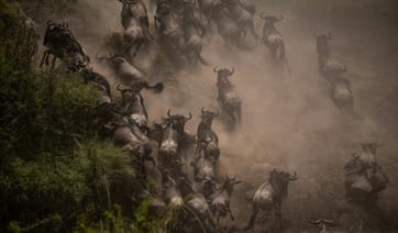 Africa